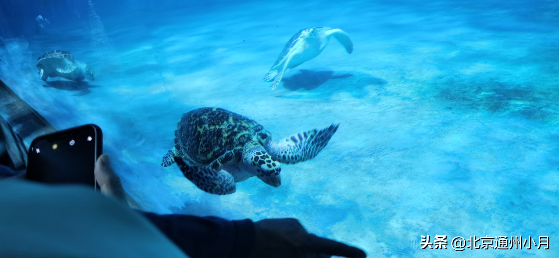 北京海底世界游览时间表,北京海底世界值得玩