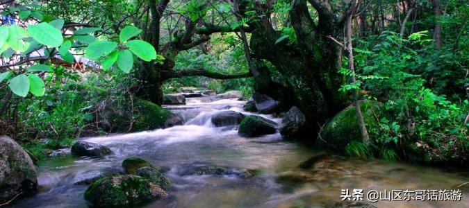 栾川县养子沟风景区简介图,河南养子沟景区图片