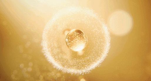 王鸥露背照片,王鸥最新露背写真