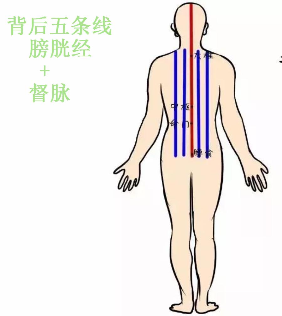 总结10条经验实用到没朋友,一些实用的经验分享
