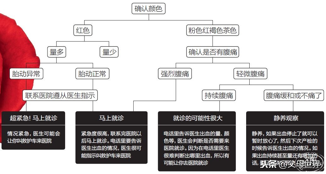 孕期阴道部位出血图示,孕妈妈一张图读懂孕期出血怎么做!