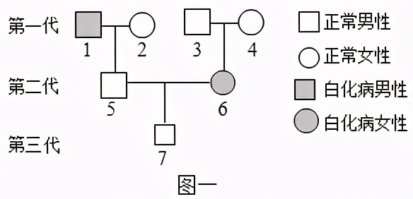 临沂2022生物会考答案,罗庄区生物一模试卷