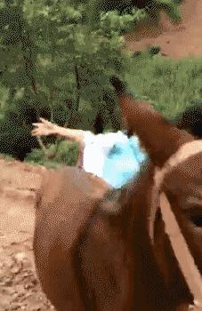 男的练瑜伽搞笑,男的去瑜伽店学瑜伽搞笑视频