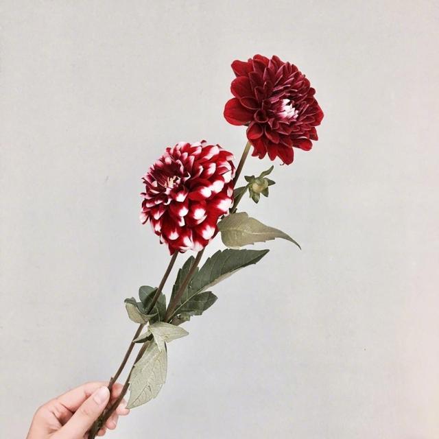 几句让你瞬间成长的句子,真正让你成长的语录