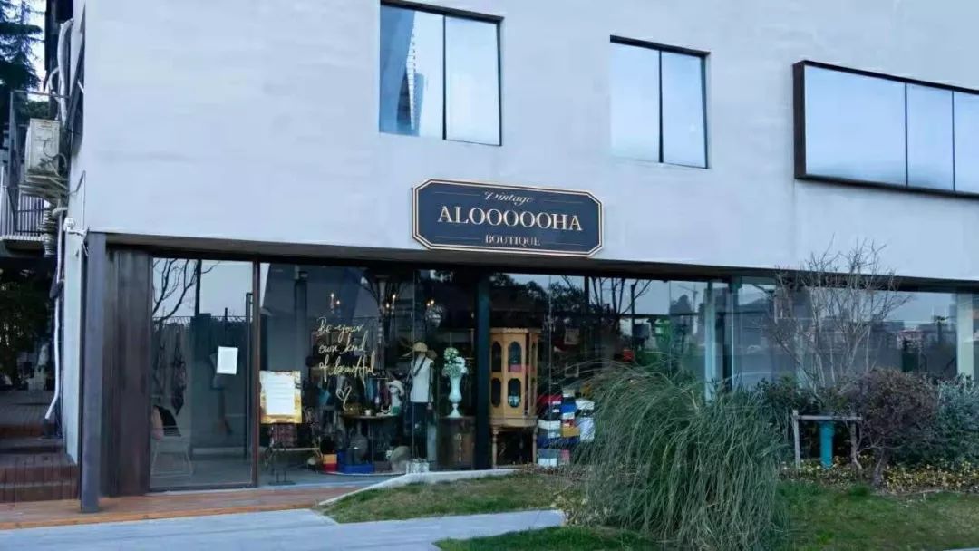 日本中古店必买lv,买lv好还是chanel好