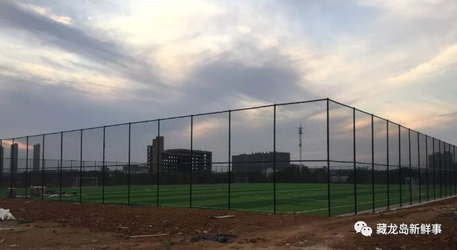 武汉江夏区藏龙岛今天的消息,武汉藏龙岛湖最新消息