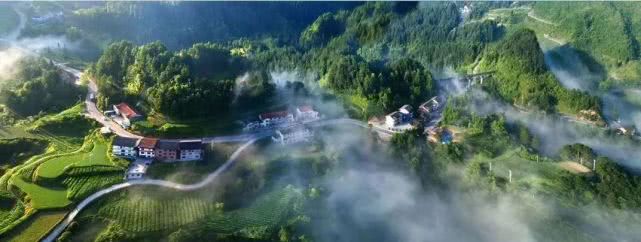 重庆南川金佛山自驾游图片,重庆金佛山自驾游最佳路线