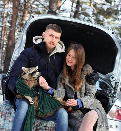 家里养一只浣熊是什么感觉,家里养小浣熊是种什么体验