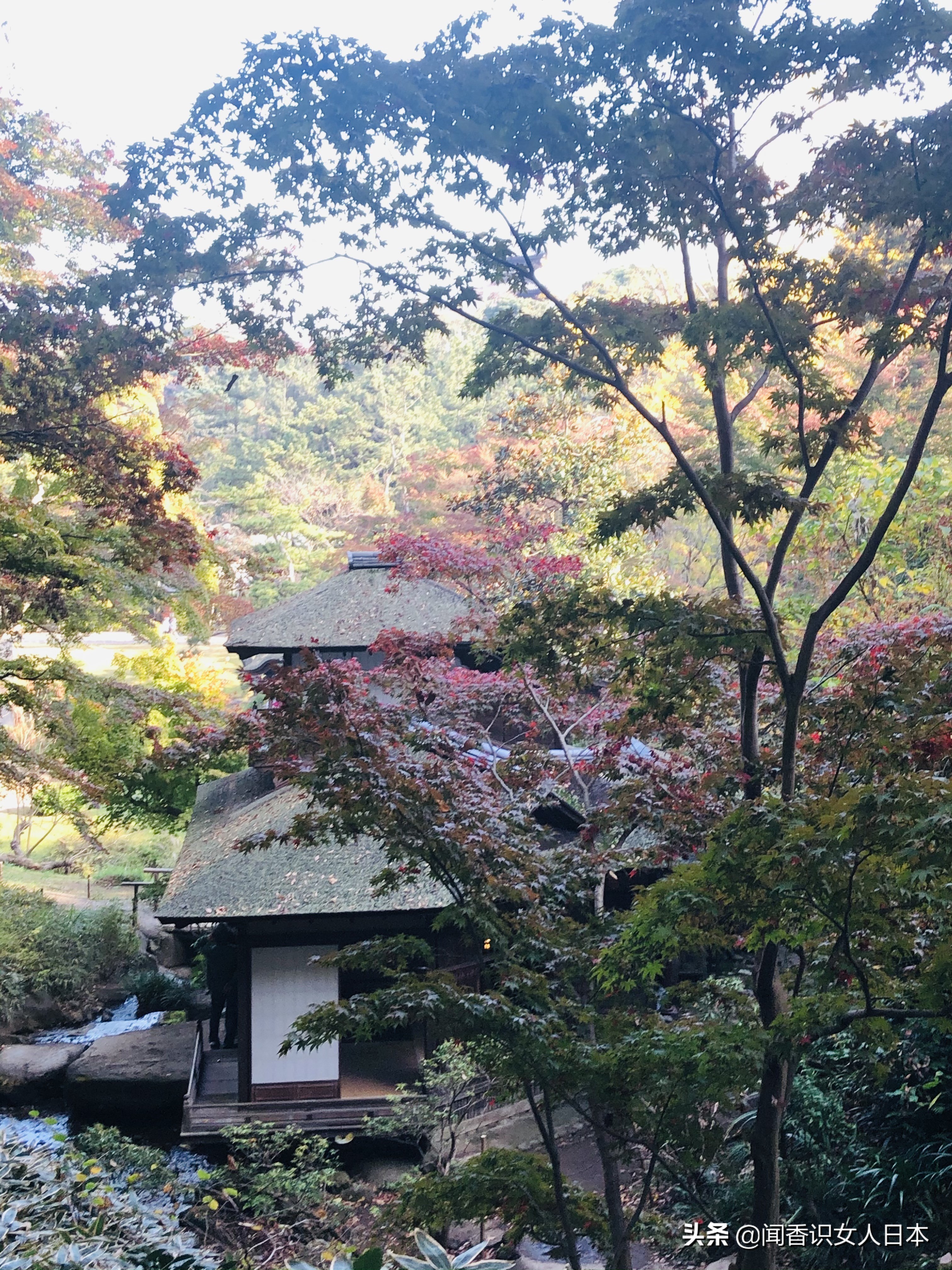 横滨三溪园,横滨三溪园介绍