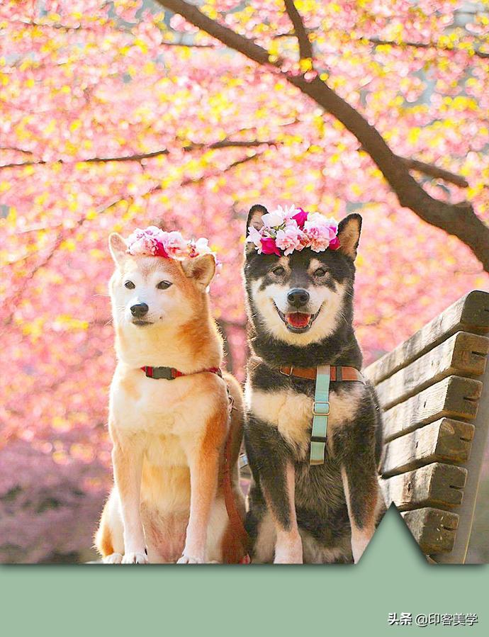 40首百听不厌的甜歌,小众好听的甜歌