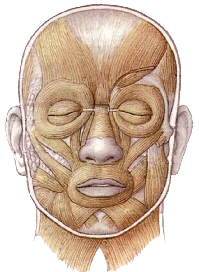 上镜表情管理干货不同脸型怎么笑,表情管理有诀窍微笑训练不可少