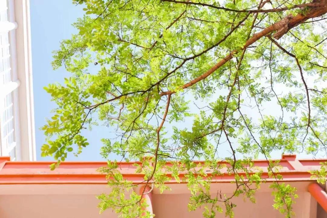 天津民办二本大学,天津仁爱学院滨海校区