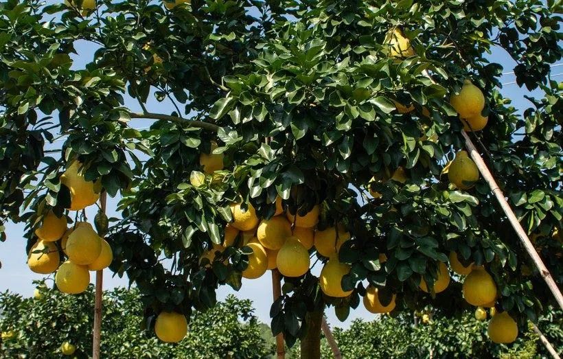 大阳150踏板摩旅进藏,大阳adv150长途摩旅西藏