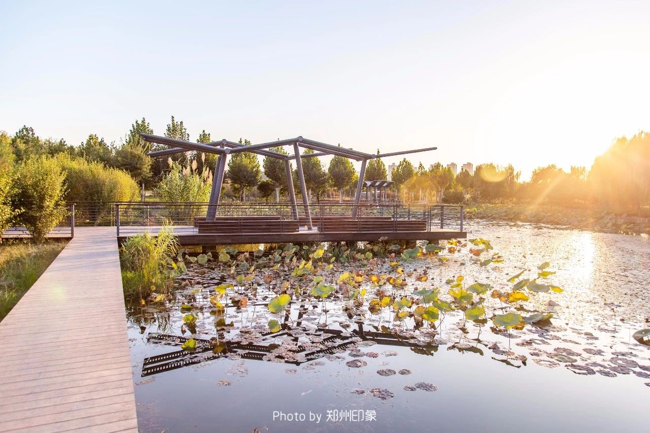 郑州漂亮的秋色风景,郑州的这些湖畔藏着最美的秋色