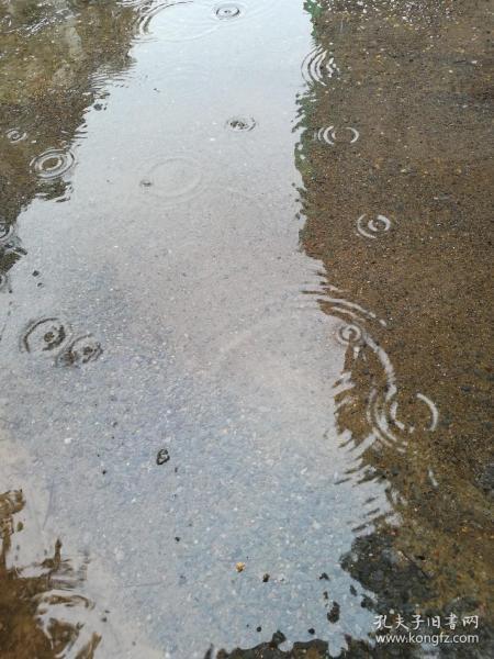 读书修心提高自律,读书明理励志修身