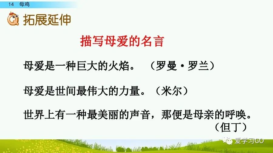 部编版四年级下册15课白鹅解析,部编版四下语文第13课母鸡预习