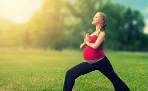 我的孕前检查之排卵期自测日记