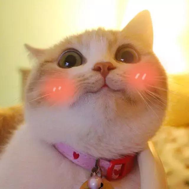 舌尖上的蜂蜜吃法,蜂蜜块嚼着吃推荐