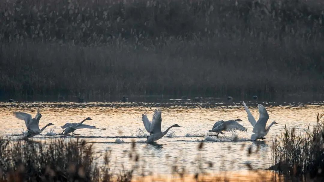 生态环境的巨大变化,营口的百年巨变