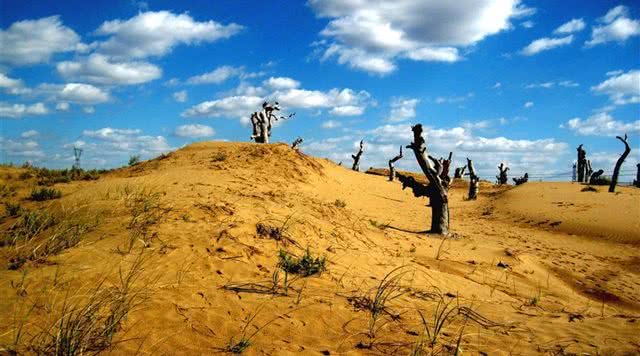 内蒙古沙漠旅游景点,内蒙古沙漠景点大全图片高清