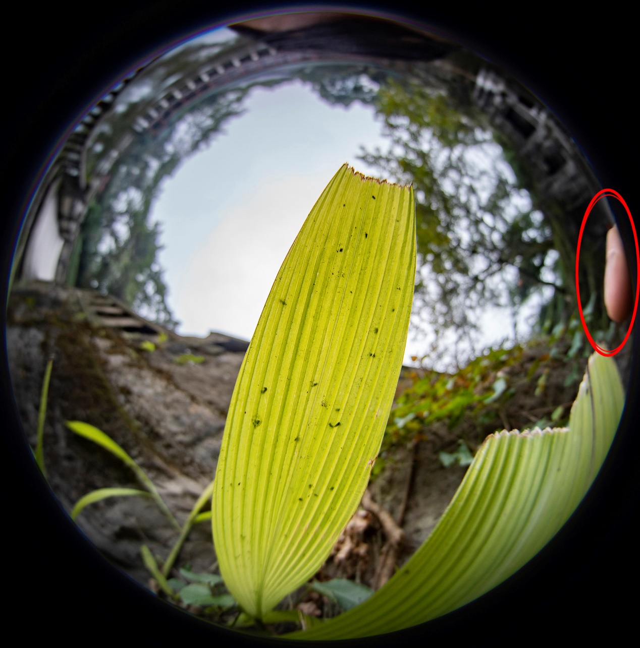 鱼眼镜头设计标准,一镜到底视角教程