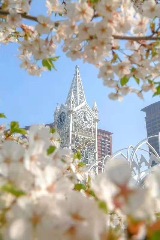 青岛西海岸啤酒节攻略,青岛西海岸周末去哪玩