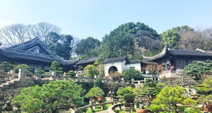 普通人适合去苏州吗,普通人不跟团去重庆自由行