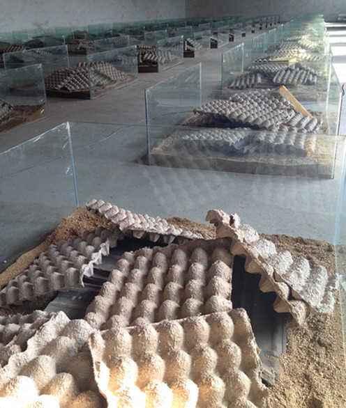 蝎子养殖前景和价格,蝎子养殖成本效益分析报告