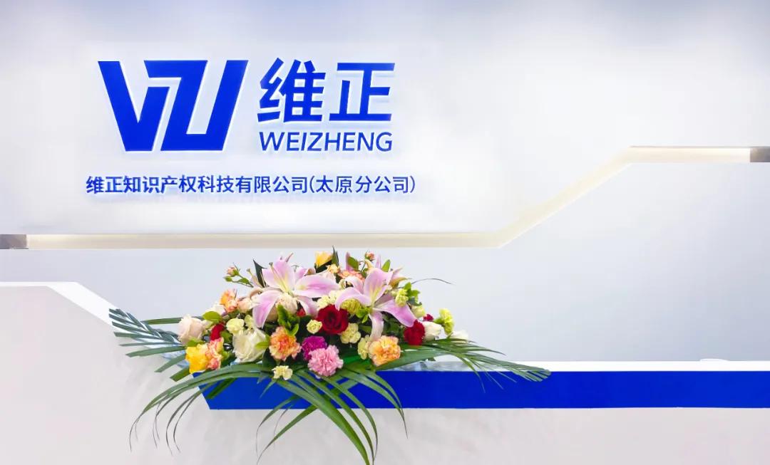 维正集团分公司有哪些,维正集团有前景吗