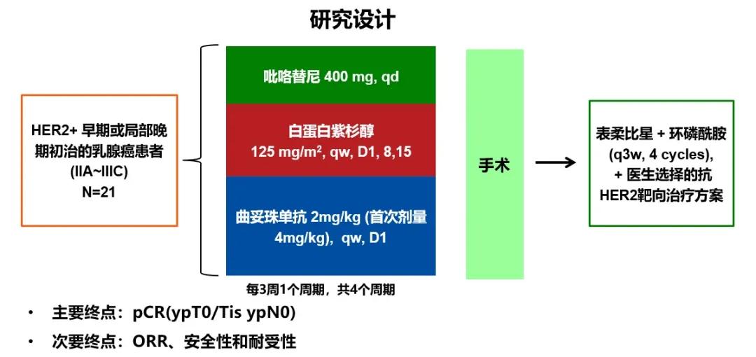 her2阳性晚期乳腺癌双靶治疗效果,her2阳性乳腺癌的免疫治疗前景