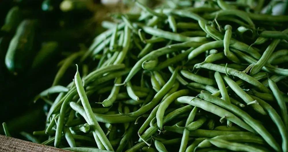 快速解开超市封口钉,超市袋子的封口钉怎么正确打开