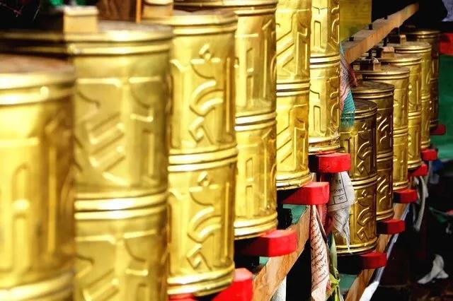 一位拥有多重身份的现代职业女性，偏偏钟情于*藏西**，是有病吗？