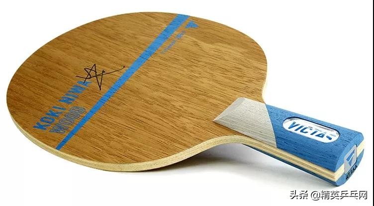 乒坛公认神底板,乒乓球十大经典底板排名