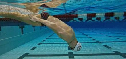 游泳滚翻转身,游泳前空翻练习
