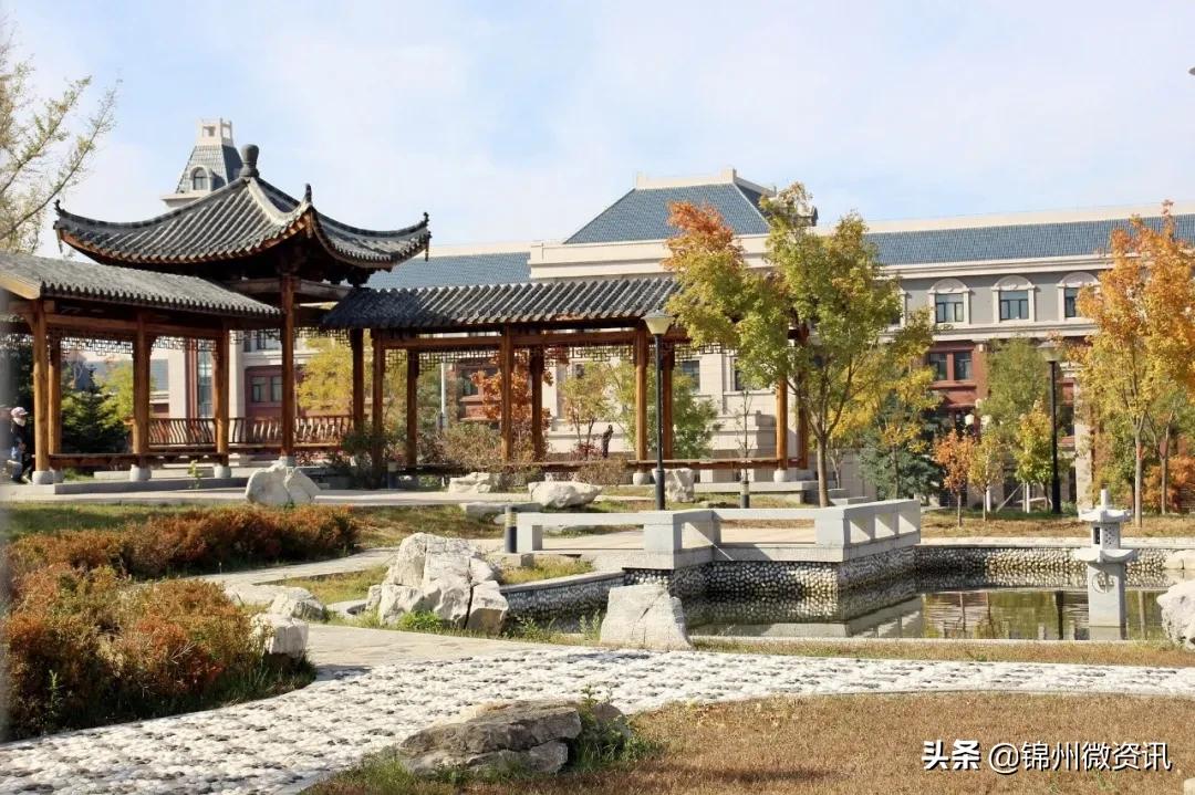 锦州渤海大学校庆献礼!纸短情长,写给我深爱的渤大