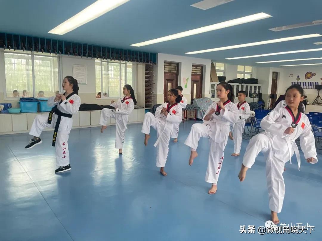 信阳铭扬跆拳道,信阳铭扬武道馆