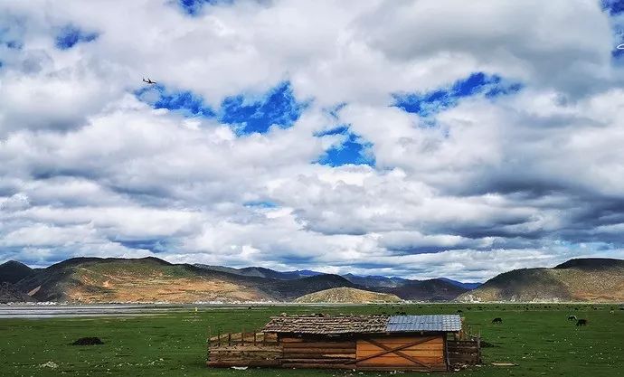 养心养肺之旅,静心养肺养心