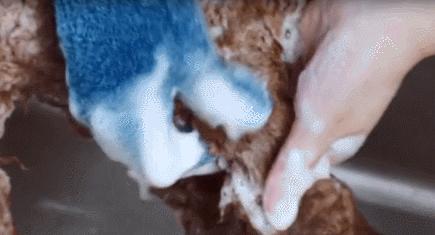 疫情怎么帮娃洗澡,疫情期间怎样在家洗澡