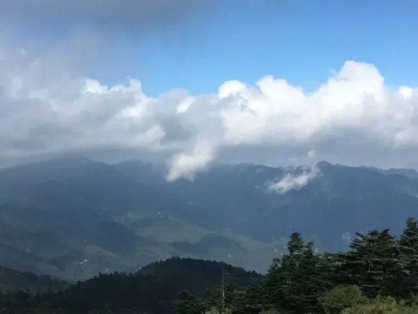 神农架大九湖最美雪景,神农架神农顶大九湖