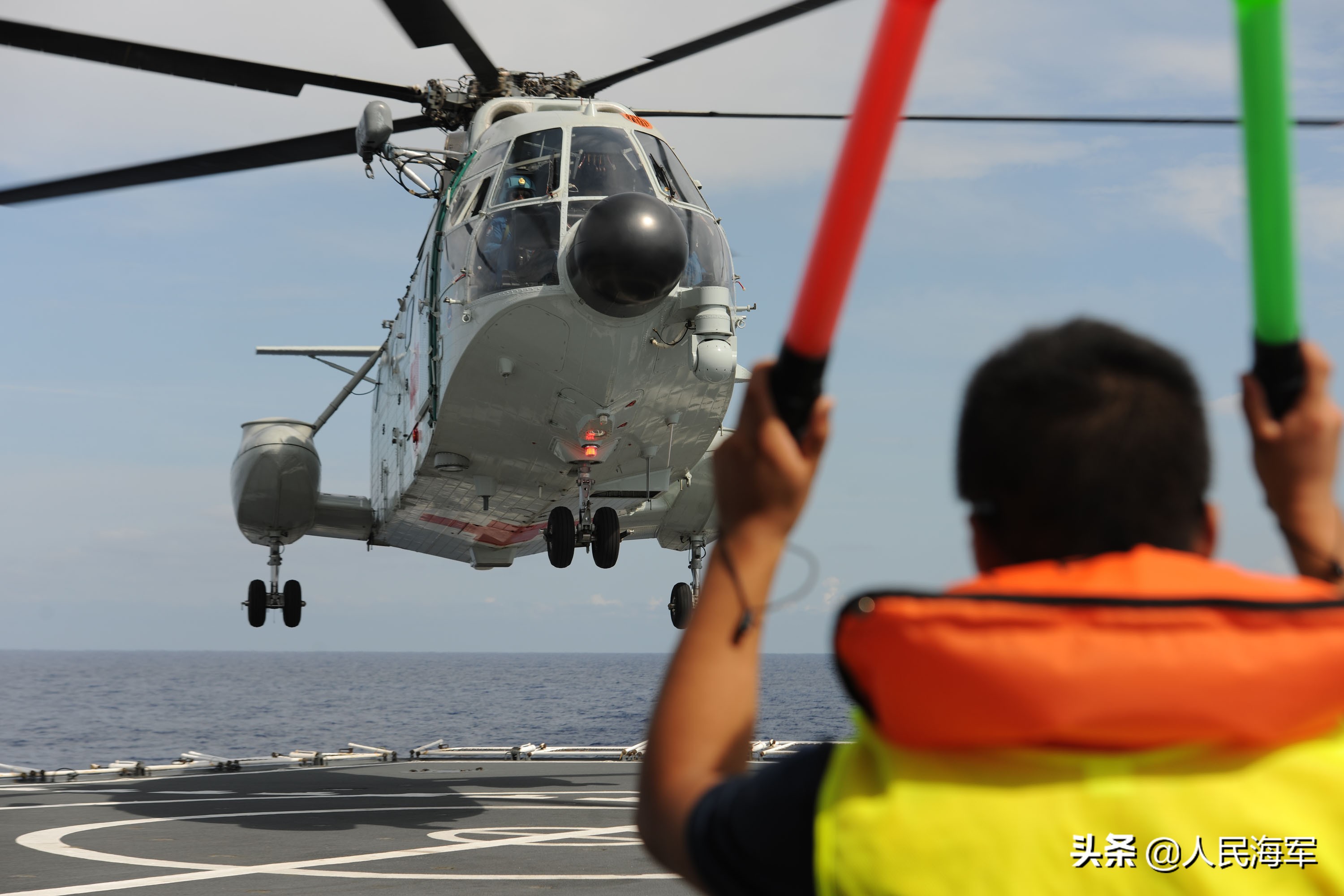 “请让我再亲吻一下祖国”—海外华人华侨眼里的和平方舟