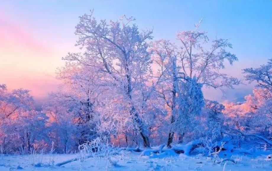 袁明忠|雪压梅枝梅压雪双铺锦地锦铺双（原创回文诗20组）