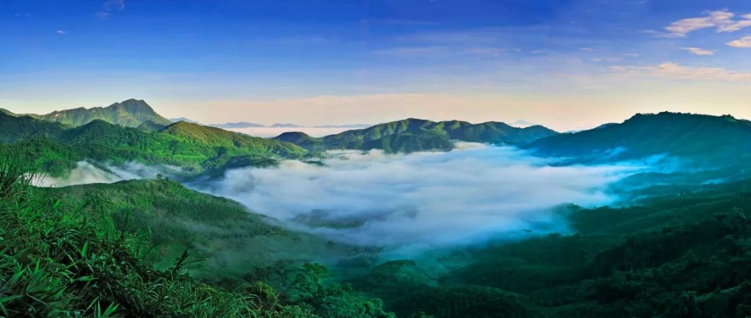 海南近10年的生态环境的变化,海南的环境对人体好吗