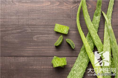 芦荟的功效及作用和应用专家讲解,芦荟加蜂蜜一起吃的功效与作用