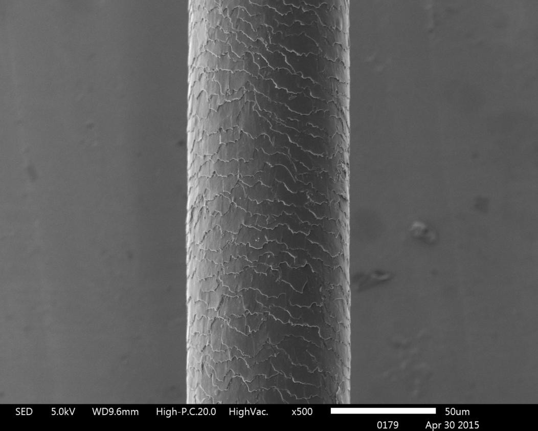人类进化过程中为什么还有体毛,人类进化退化毛发