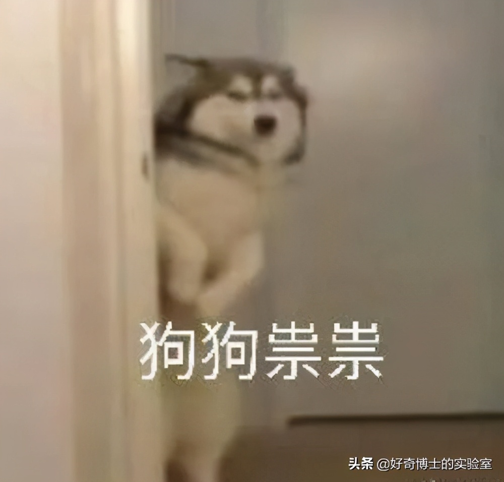 微信奇奇怪怪玩法,微信撩妹技能怎么玩