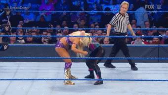 wwesd和raw所有选手,wwesd冠军腰带