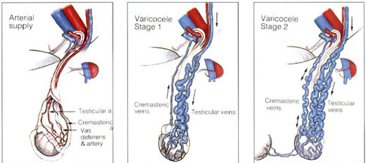 介入别人婚姻导致其怀孕犯法吗,介入科对生育的影响