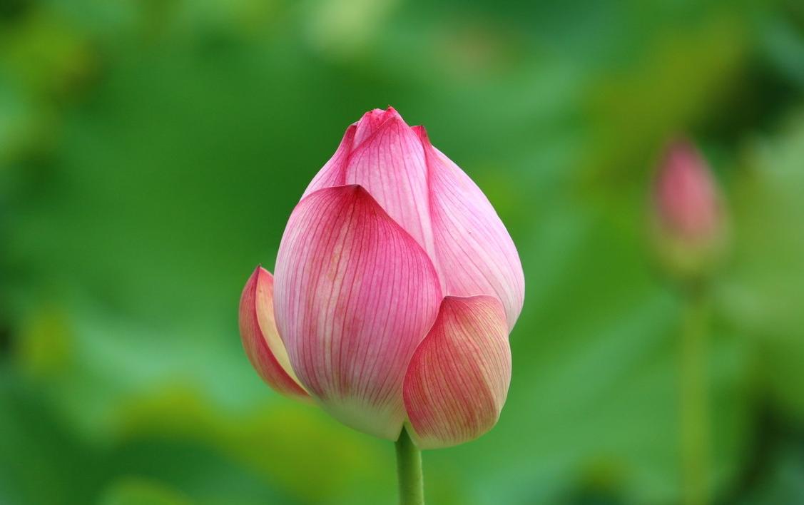 期货交易：看住内心的欲望！有所为有所不为！