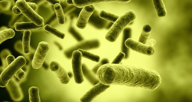 脱发脱成灭霸,我加入了妇愁者联盟!澳洲messina带你找回自信