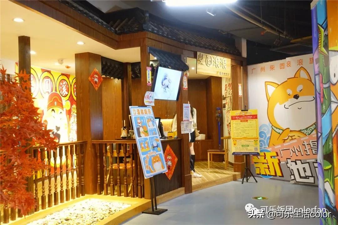 撸柴宠物乐园,广州番禺撸狗圣地